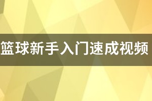 外国篮球训练视频在线观看